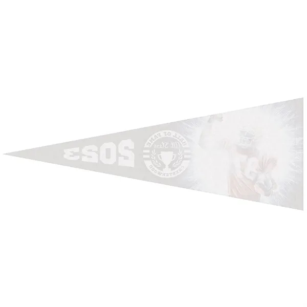 9" x 24" digitally printed custom soft felt pennant.... from ASI 80228 Quinn