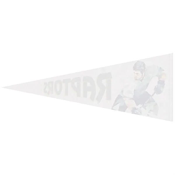 12" x 30" digitally printed custom soft felt pennant.... from ASI 80228 Quinn