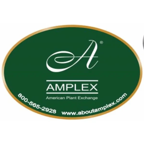 3" x 5"  Decal / Label - Any perimeter die... from ASI 57713 Glow Promotions / Glow Promotions