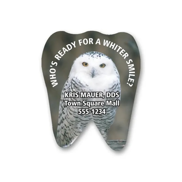 Tooth-shaped decal with a static cling design.... from ASI 59080 Halls & Company