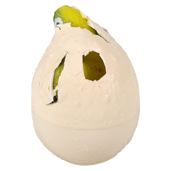 Growing Rubber Turtle... from ASI 85620 H M Schmidt Co Inc