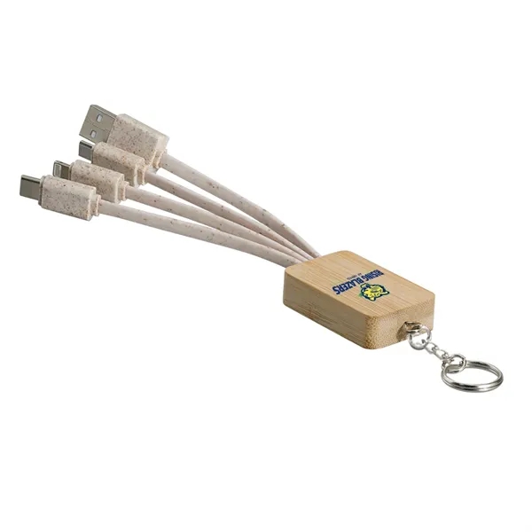 Total 4 cables, one for USB tip, one for Type C... from ASI 90154 Sunjoy Group Inc