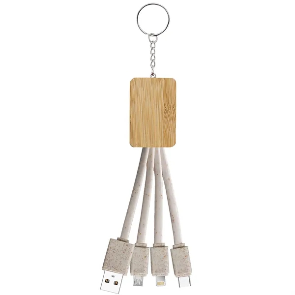 Total 4 cables, one for USB tip, one for Type C... from ASI 90154 Sunjoy Group Inc