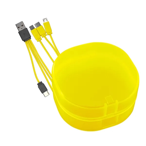 4-IN-1 CARRY ALL CABLE SET... from ASI 30208 A P Specialties / AP Specialties