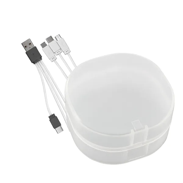 4-IN-1 CARRY ALL CABLE SET... from ASI 30208 A P Specialties / AP Specialties