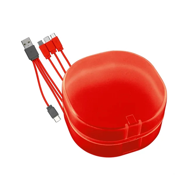 4-IN-1 CARRY ALL CABLE SET... from ASI 30208 A P Specialties / AP Specialties