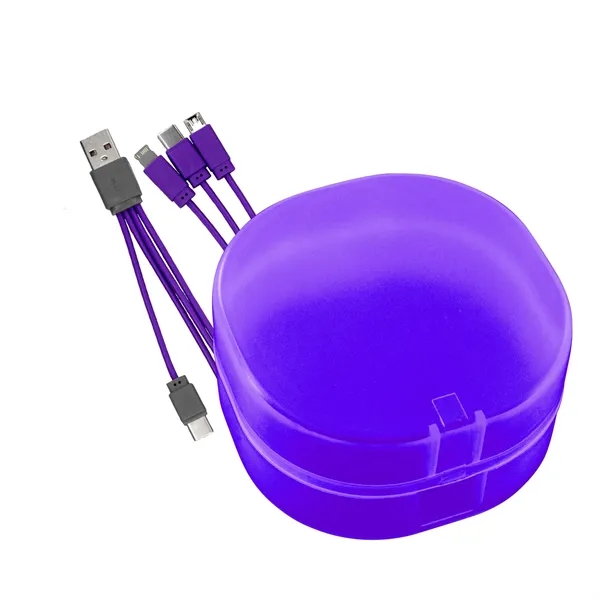 4-IN-1 CARRY ALL CABLE SET... from ASI 30208 A P Specialties / AP Specialties