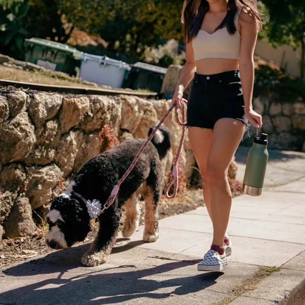 Three in one bottle for you and your dog. Water for... from ASI 31518 ADNART