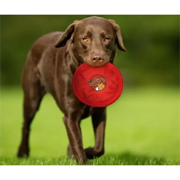 9 1/2" nylon flying disc for dogs.... from ASI 55675 Galaxy Balloons Inc / Galactic Fun Time Line
