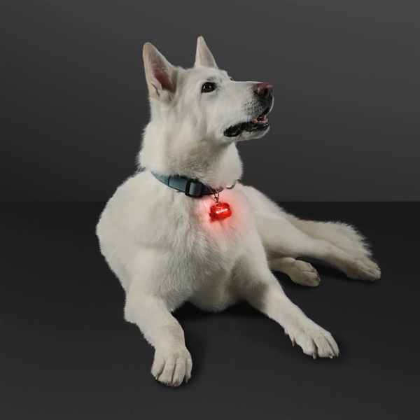 Blank or imprinted. LED dog bone pet safety light.... from ASI 34194 ALightPromos / Alight Promotional Products