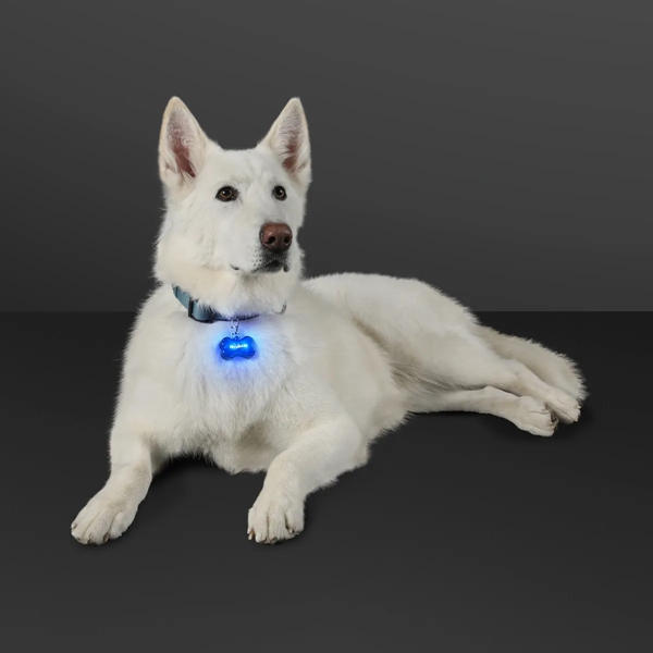 Blank or imprinted. LED dog bone pet safety light.... from ASI 34194 ALightPromos / Alight Promotional Products