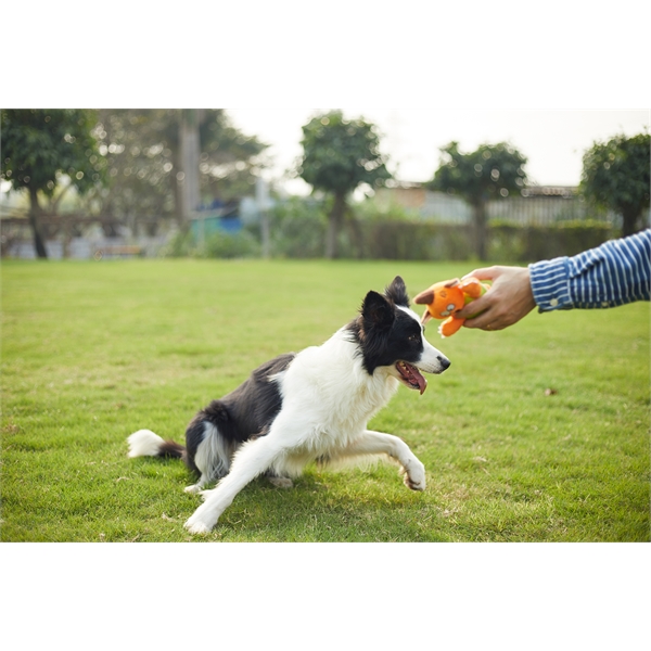 Plushy Monster Ball Dog Chew Toy... from ASI 74779 O & S Supply Company LLC