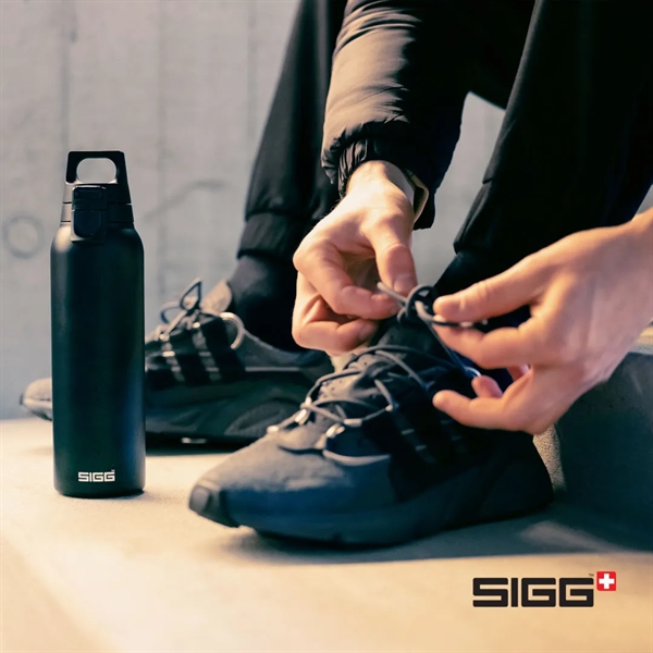SIGG™ Hot & Cold One Bottle 17oz... from ASI 84592 St Regis Group