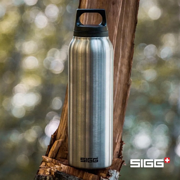 SIGG™ Hot & Cold Bottle 17oz... from ASI 84592 St Regis Group