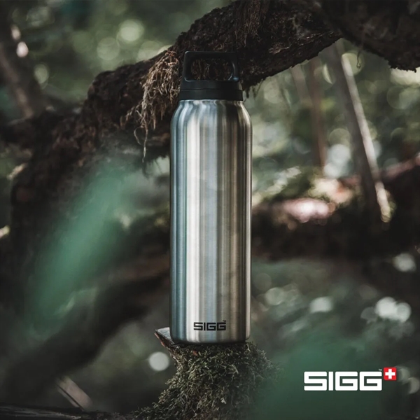SIGG™ Hot & Cold Bottle 17oz... from ASI 84592 St Regis Group