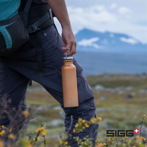 SIGG™ Original Bottle 25oz... from ASI 84592 St Regis Group