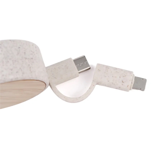 6-in-1 Eco-friendly Retractable Charging Cable plus laser engraving on 1 location... from ASI 37218 Athena Promo (tm)