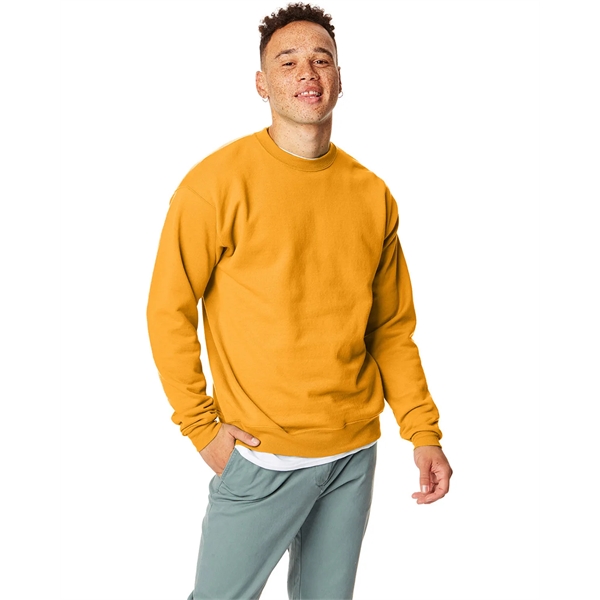 Hanes adult EcoSmart® fleece crewneck sweatshirt.... from ASI 34063 alphabroder