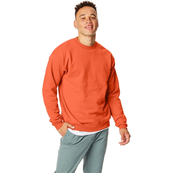 Hanes adult EcoSmart® fleece crewneck sweatshirt.... from ASI 34063 alphabroder