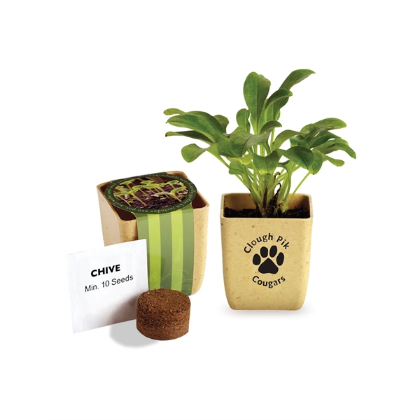 1.75" x 2.5" x 2.13" planter kit with renewable material pot,... from ASI 79530 Prime Line