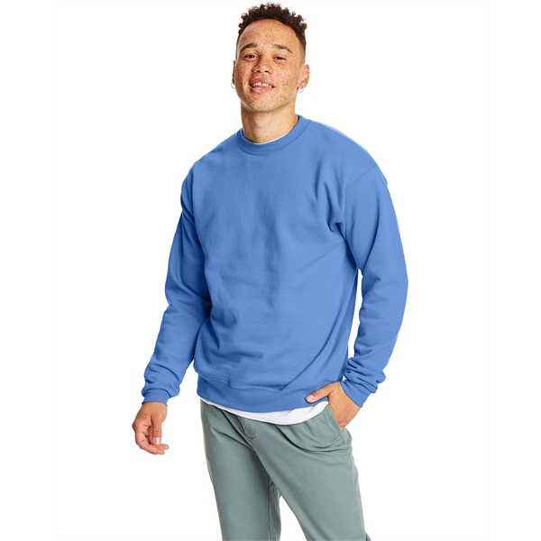 Hanes adult EcoSmart® fleece crewneck sweatshirt.... from ASI 34063 alphabroder