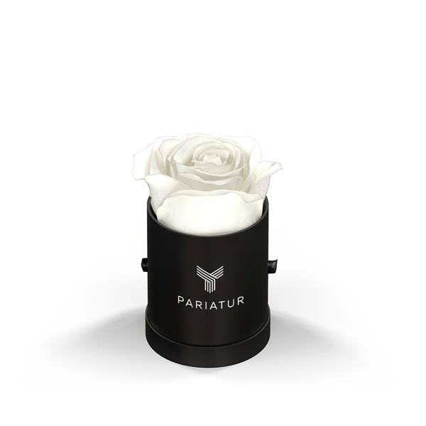 Singular rose in a round hat box.... from ASI 61125 Hit Promotional Products / Hit®