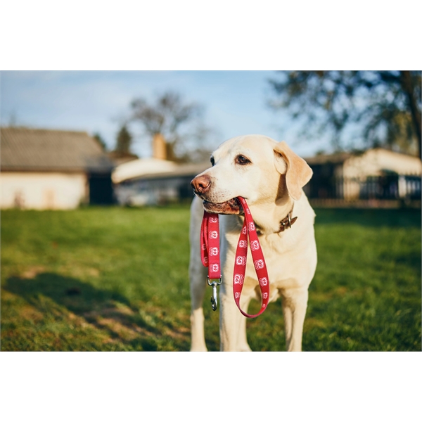 6' polyester pet leash with silkscreen imprint. Assembled in the USA.... from ASI 30250 AZX Sport USA