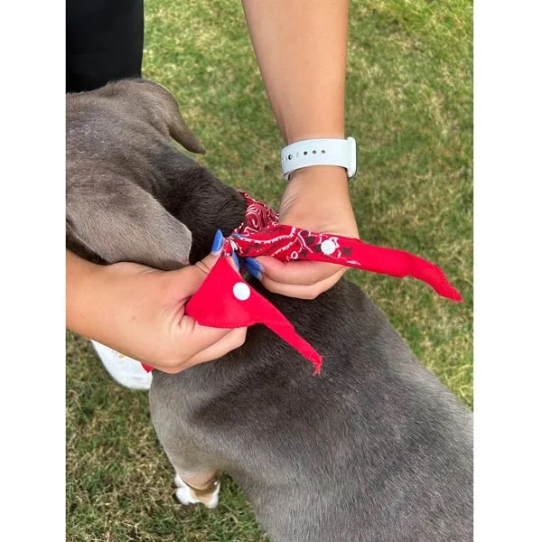 Snap and go pet triangle bandanna.... from ASI 44020 Bandanna Promotions By CARO-LINE / Swag-Wag Pets