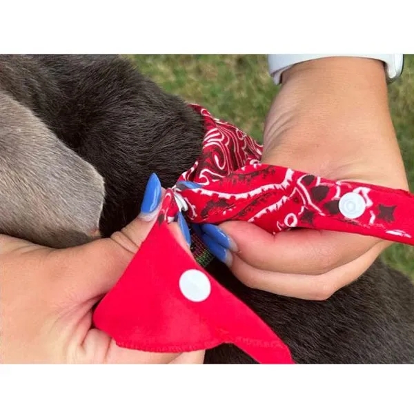 Snap and go pet triangle bandanna.... from ASI 44020 Bandanna Promotions By CARO-LINE / Swag-Wag Pets