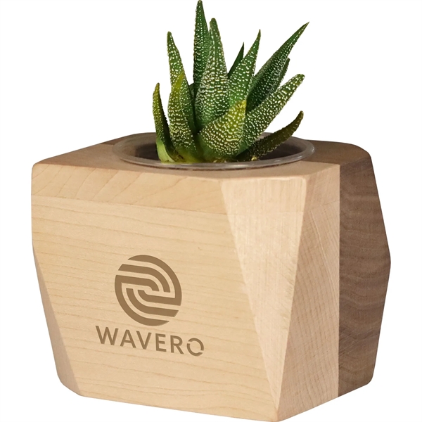 The geometric wooden planter with succulent makes a statement with its... from ASI 54100 Fields Manufacturing Inc / Fields