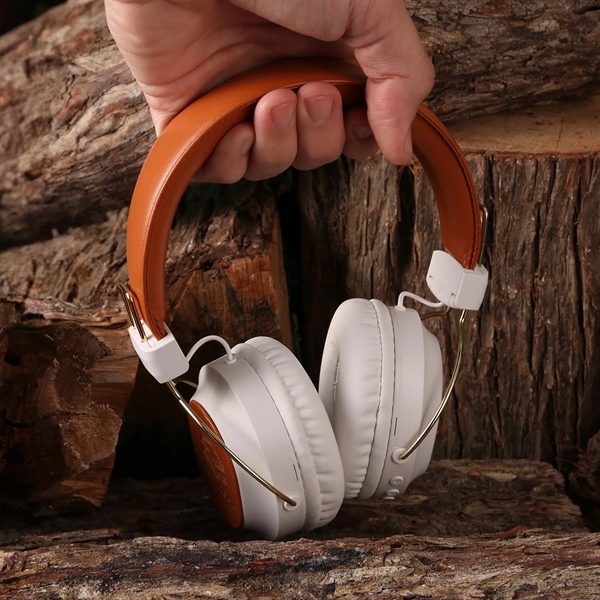 An eco friendly set of headphones... from ASI 61966 HPG / OrigAudio HPG Gold