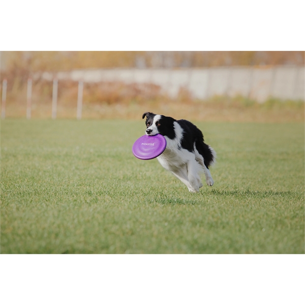 A 9" flyingdisc perfect for a day on the beach with... from ASI 30250 AZX Sport USA