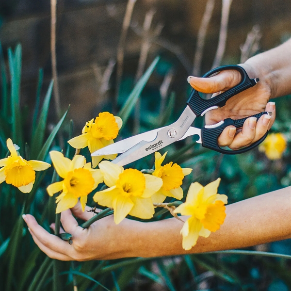 Kershaw shears. In the garage, kitchen, or RV, you will appreciate... from ASI 46170 Compass Industries Inc