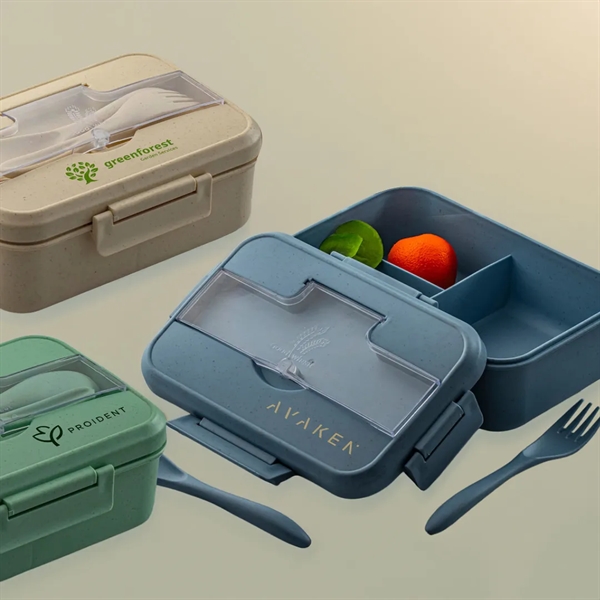 Wheat Straw Lunch Box set... from ASI 61966 HPG / Mixie