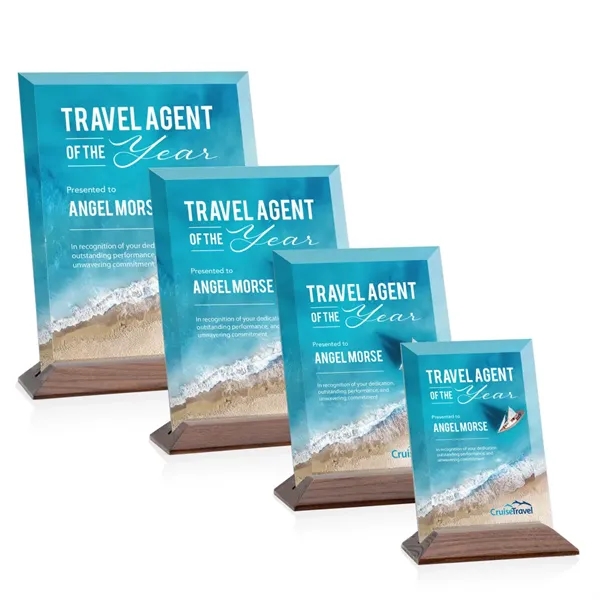 The prestigious Starfire Crystal Embassy VividPrint™ Award reflects timeless beauty with... from ASI 84592 St Regis Group / St Regis