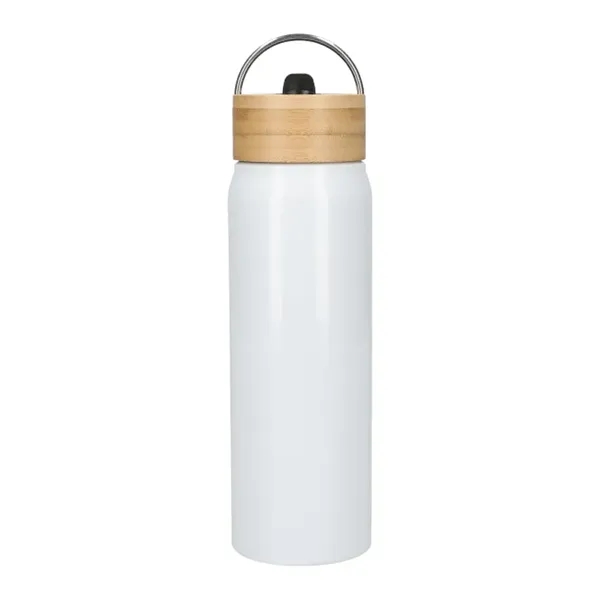 Aluminum Bottle... from ASI 89971 Stuff A Mug