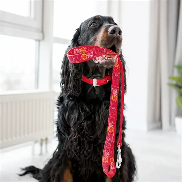 6' polyester pet leash with digital sublimated imprint. Assembled in the... from ASI 30250 AZX Sport USA