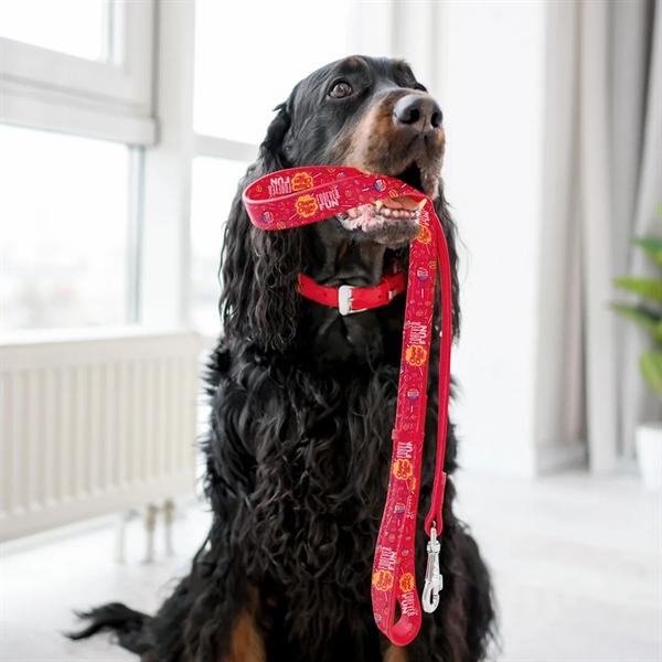 6' polyester pet leash with sublimated imprint. Air imported. Assembled in... from ASI 30250 AZX Sport USA