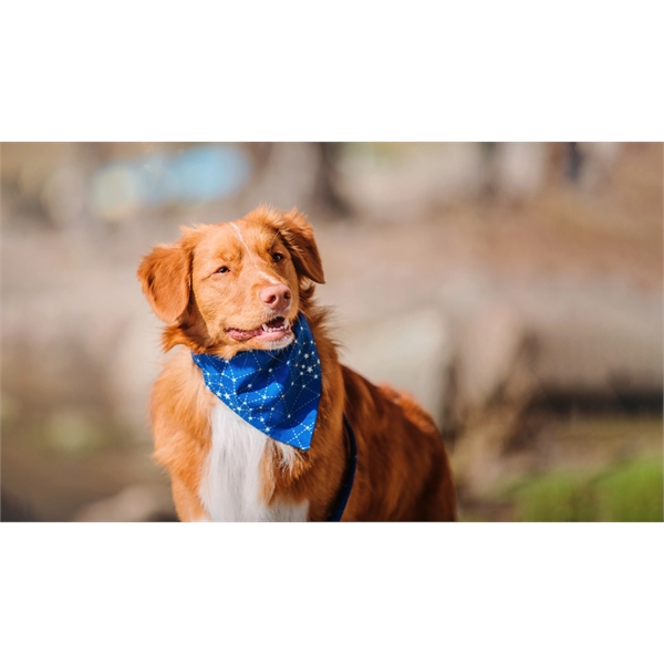 Sublimated pet bandana for your furry friends.... from ASI 30250 AZX Sport USA