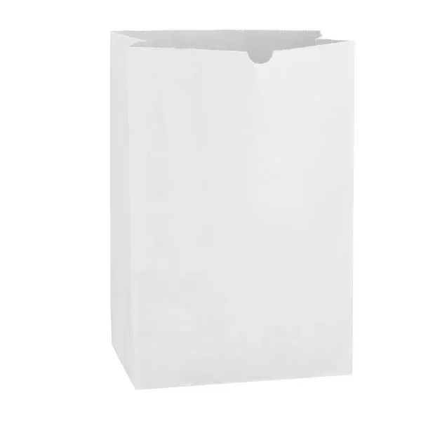 11" x 17" x 6" white Kraft paper bag.... from ASI 35290 American Ad Bag Co
