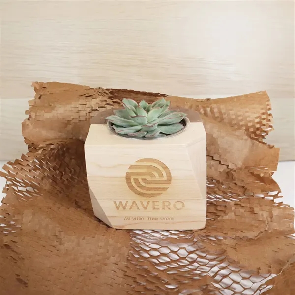 The geometric wooden planter with succulent makes a statement with its... from ASI 54100 Fields Manufacturing Inc / Fields