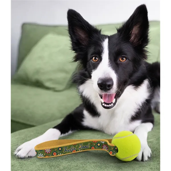Dog toy with tennis ball attached to a PMS matched handle... from ASI 45657 Pop! Promos