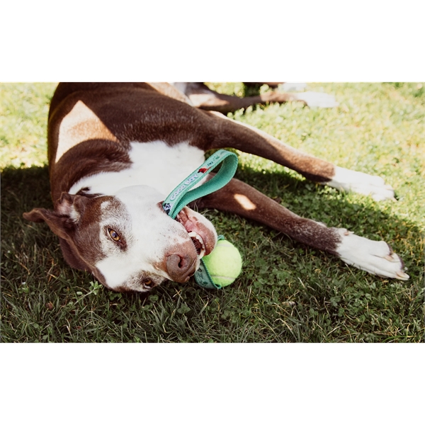 Dog toy with tennis ball attached to a PMS matched handle... from ASI 45657 Pop! Promos