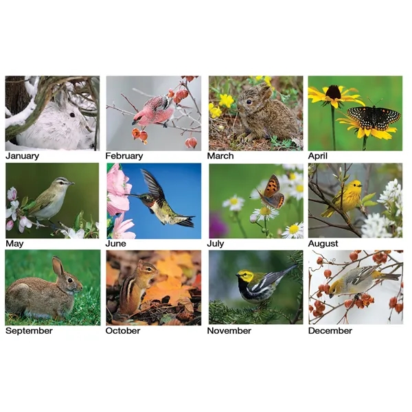 12 month tent desk calendar featuring photos of beautiful birds and... from ASI 50873 Drum-Line / Drum-line Inc