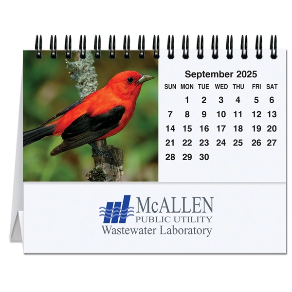 12 month calendar featuring photos of colorful birds.... from ASI 50873 Drum-Line / Drum-line Inc