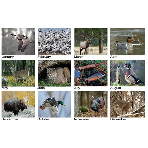 12 month tent desk calendar featuring photos of animals and birds... from ASI 50873 Drum-Line / Drum-line Inc