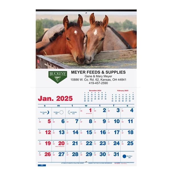 Single image wall calendar with monthly budget, zodiac, weather forecasts... from ASI 50873 Drum-Line / Drum-line Inc