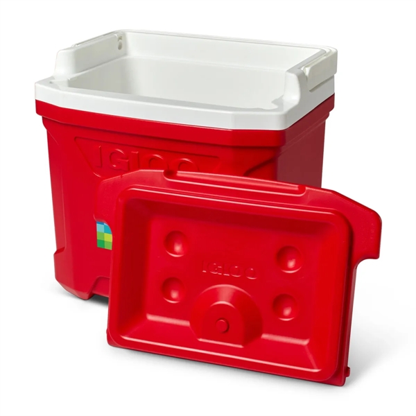 16 quart cooler with folding handle and 3 days of ice... from ASI 56070 Gemline / Gemline®