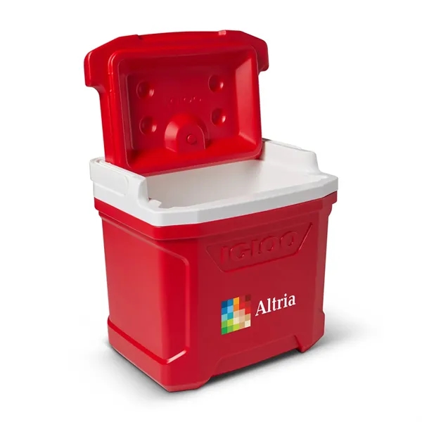 16 quart cooler with folding handle and 3 days of ice... from ASI 56070 Gemline / Gemline®