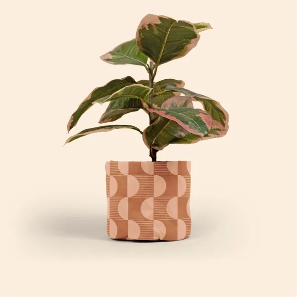 Mary Jane is a unique way to adorn a plain plant... from ASI 74710 Numo